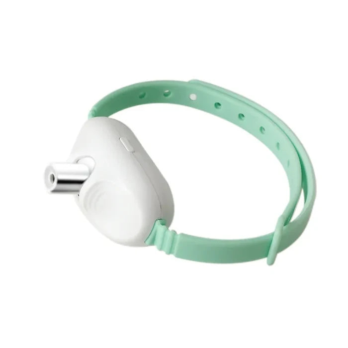LaserPlay USB Rechargeable LED Cat Teasing Toy