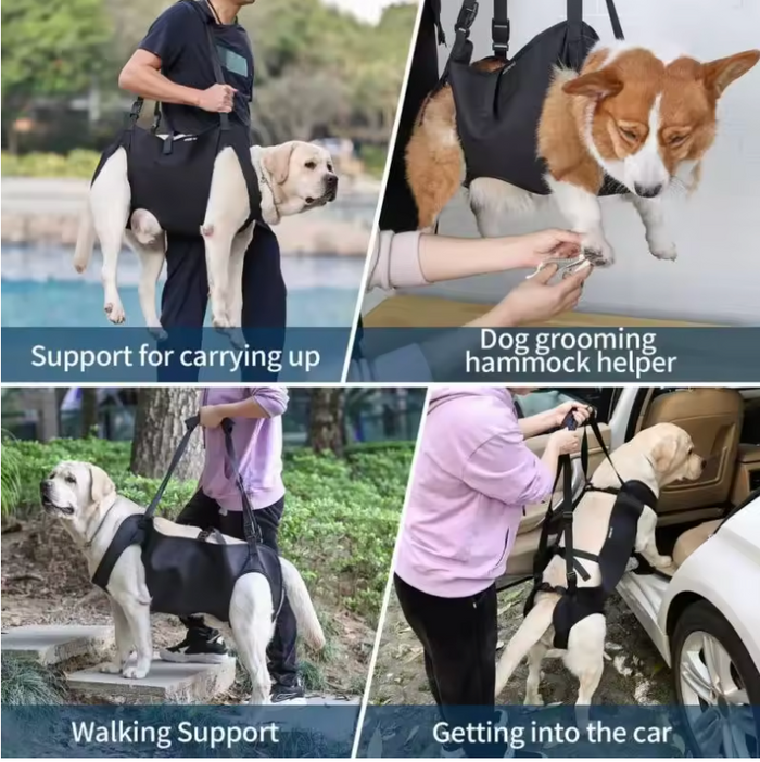 LiftEase Mobility Sling