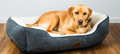 Malvern Rectangle Bed (Cover Only) - Cozy Comfort Redefined - for dogs Snug and Cosy Pets