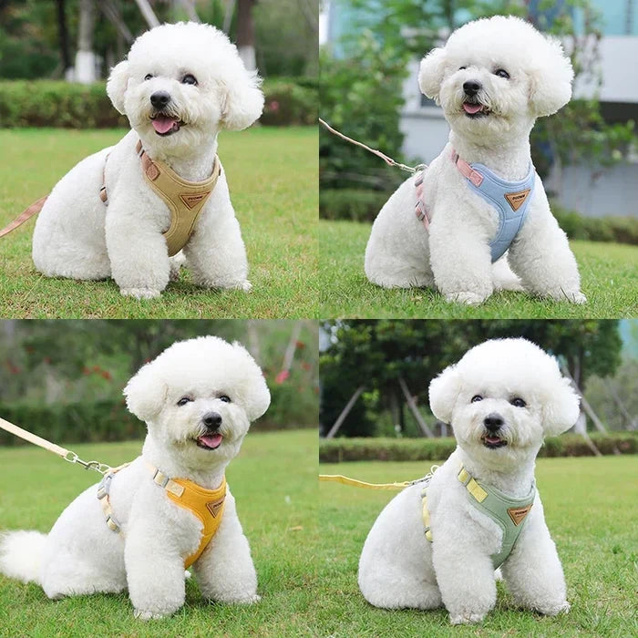 MiniStride Comfort Harness & Lead Set