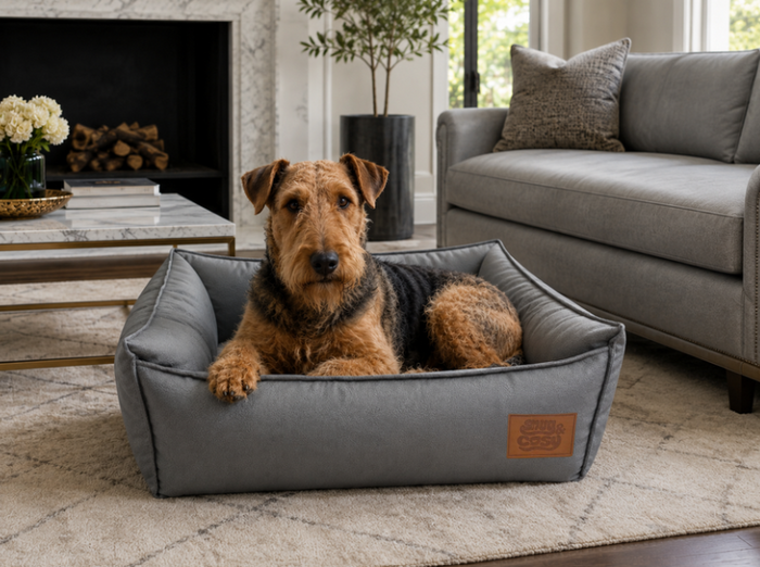 Monza Faux Leather Dog Bed – Rectangle Box Bed in Blue & Grey | Snug & Cosy Pets - Dog Bed for dogs Snug and Cosy Pets