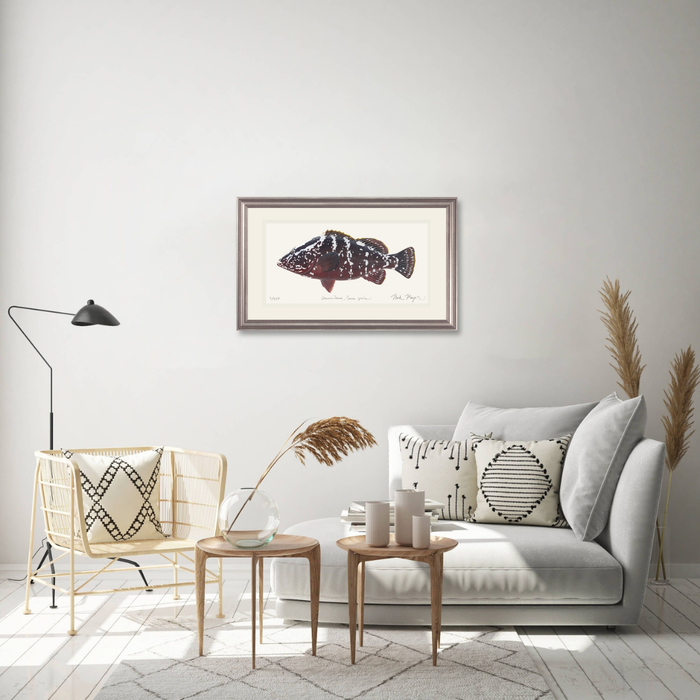 Nassau Grouper Limited Edition Print Nick Mayer