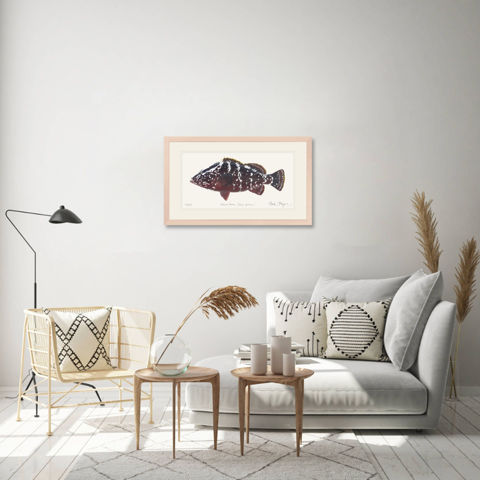 Nassau Grouper Limited Edition Print Nick Mayer