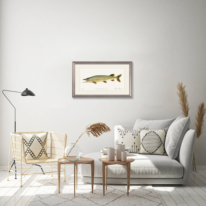 Northern Pike Limited Edition Print Nick Mayer