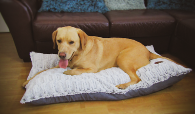 Novara Faux Suede Dog Lounger Cover Only Removable - Dog Bed Cover for dogs Snug and Cosy Pets