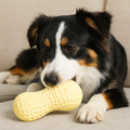 NutriChew Peanut Power Toy