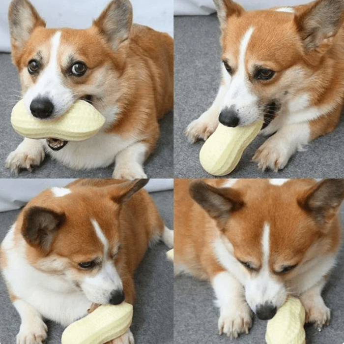 NutriChew Peanut Power Toy