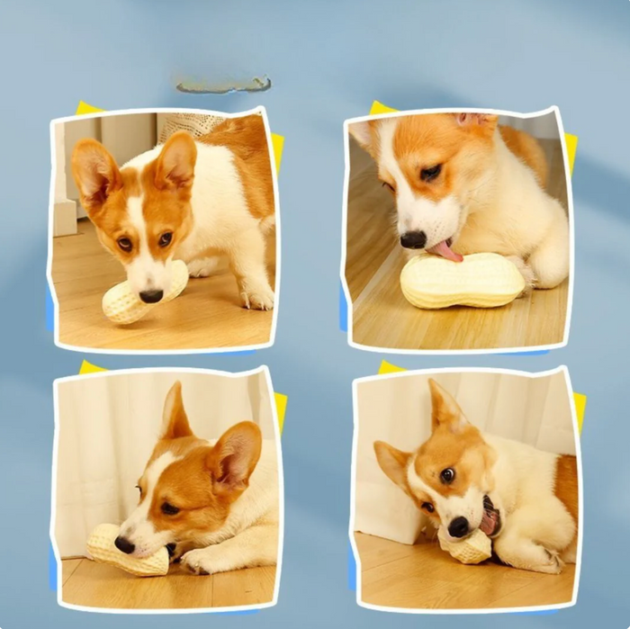 NutriChew Peanut Power Toy