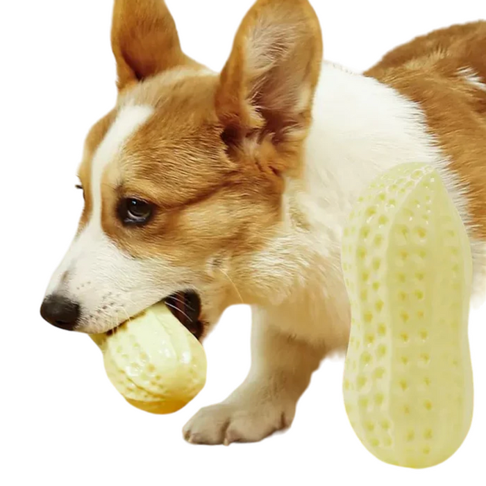 NutriChew Peanut Power Toy