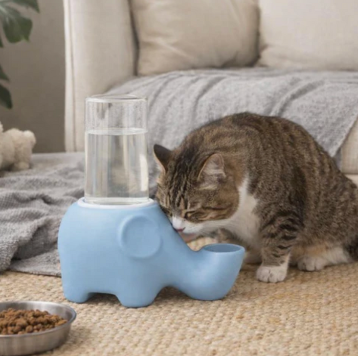 Oasis-Elephant Hydration-Station