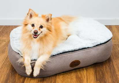 Oval Faux Fur (Cover Only) - Ultimate Comfort for Your Dog - for dogs Snug and Cosy Pets