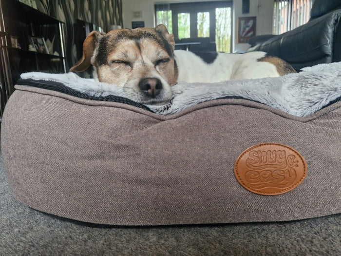 Oval Faux Fur (Cover Only) - Ultimate Comfort for Your Dog - for dogs Snug and Cosy Pets