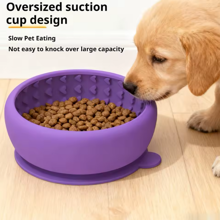 PacePup Slow-Feeder Bowl