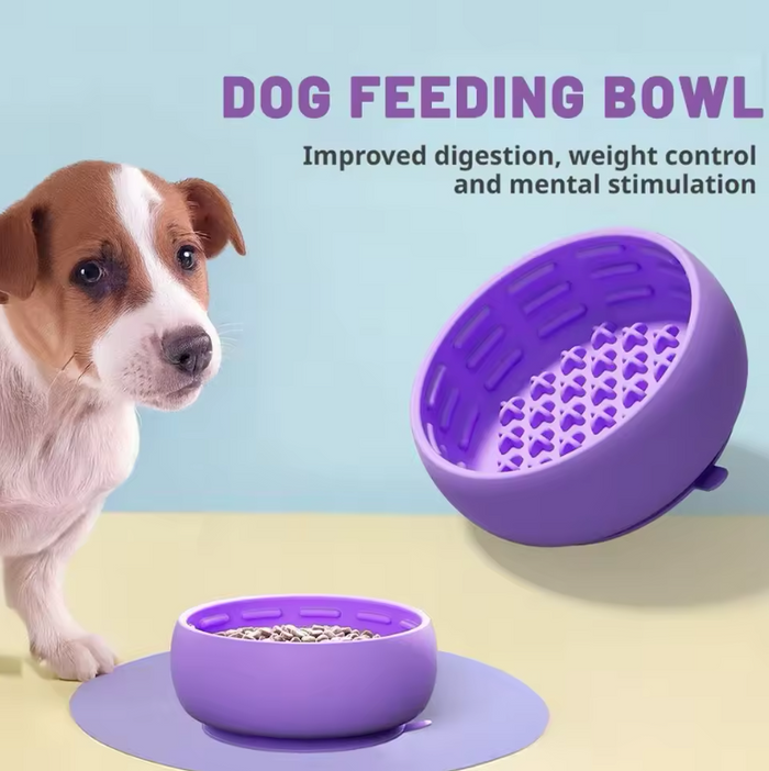 PacePup Slow-Feeder Bowl