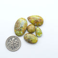 Palomino Variscite cabochons, polished yellow-green gemstones with natural matrix on a white background with a US dime for scale