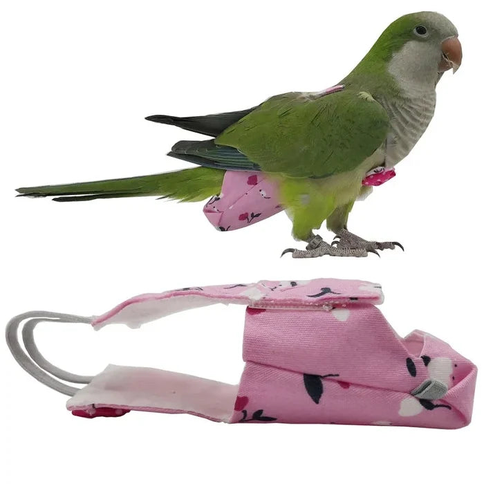 ParrotPet Bow Diaper