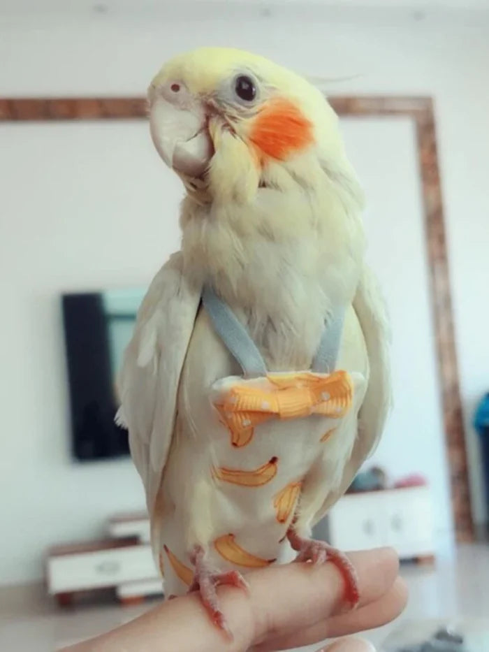 ParrotPet Bow Diaper