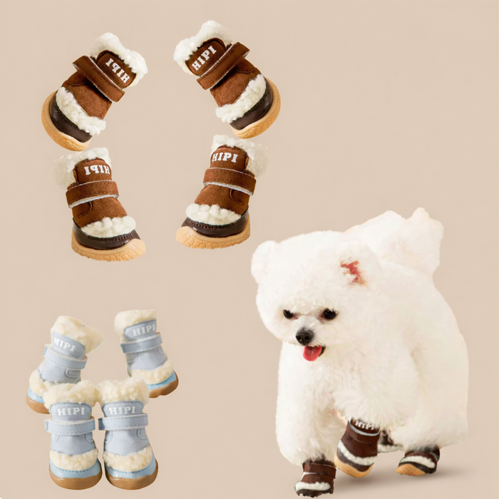 PawFrost