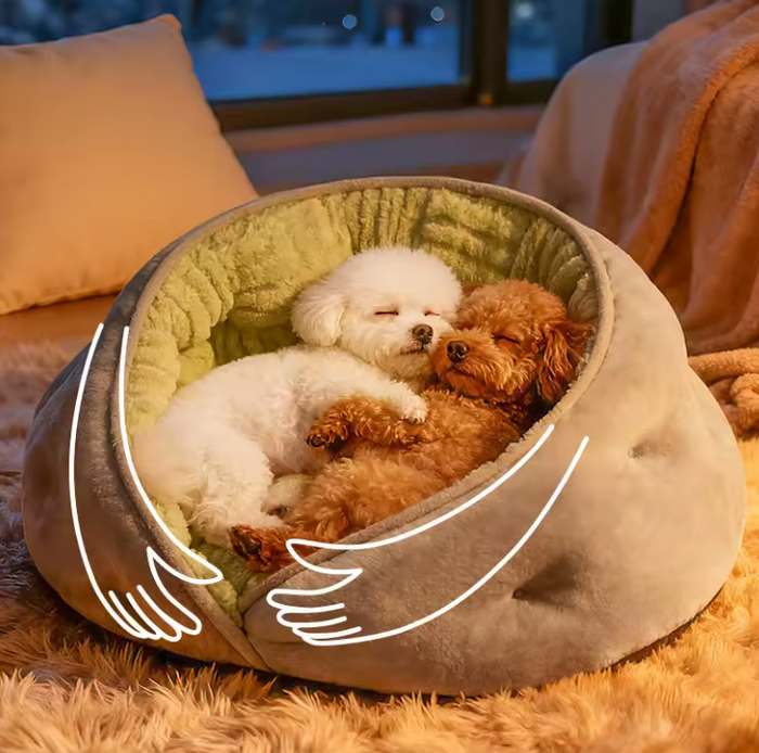 PawNest