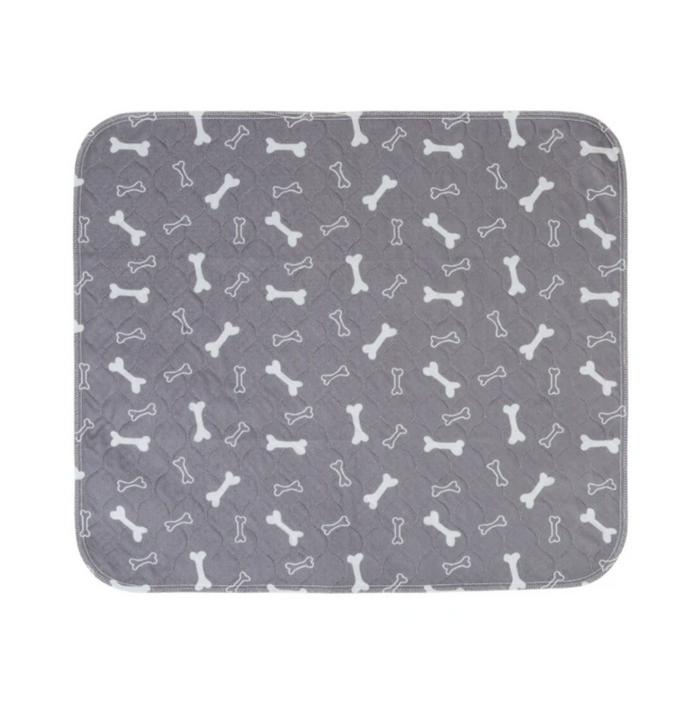 PawPatrol Potty Mat
