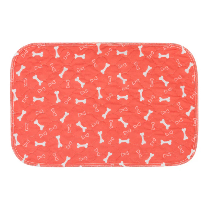 PawPatrol Potty Mat