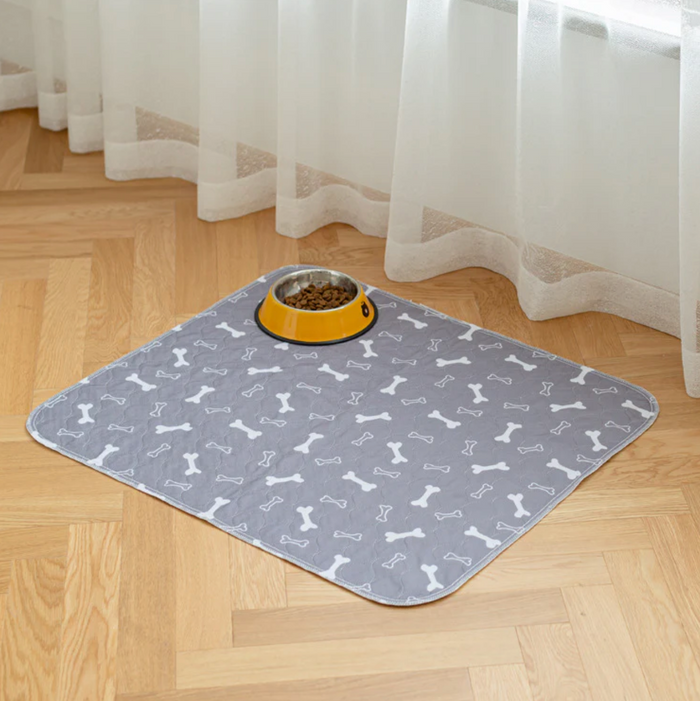 PawPatrol Potty Mat