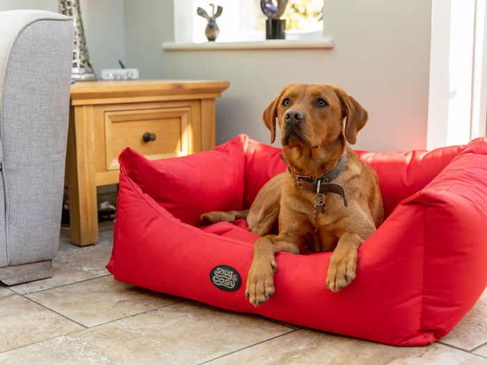 Pescara Waterproof Dog Bed: The Ultimate Chew-Proof Solution for Your Pet - Dog Bed for dogs Snug and Cosy Pets