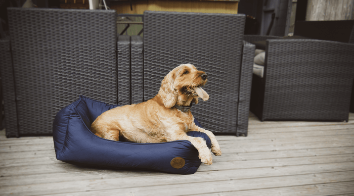 Pescara Waterproof Dog Bed Cover Only - Durable Replacement Cover - Dog Bed Cover for dogs Snug and Cosy Pets