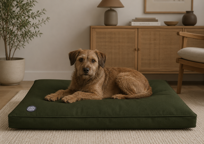 Pescara Waterproof Dog Lounger Cushion - Durable & Comfortable Dog Bed - Dog Bed for dogs Snug and Cosy Pets