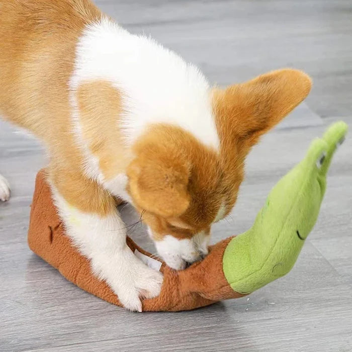 Pet Sniff Toy Squeaky Dog Foraging & Training Interactive Toy