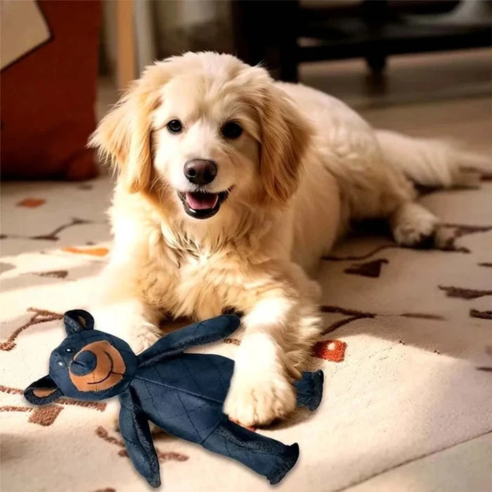 Plush Teddy Squeaker