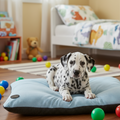 Polka Dot Lounger Light Blue – Cozy Comfort for Your Pet - for dogs Snug and Cosy Pets
