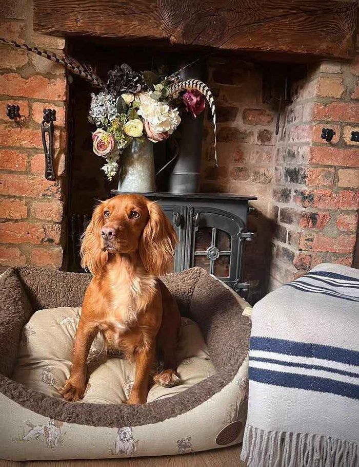 Pooch Print Bed - Luxury Dog Bed for Ultimate Comfort - Dog Beds & Loungers for dogs Snug and Cosy Pets
