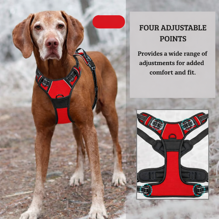 PullGuard No-Pull Dog Harness