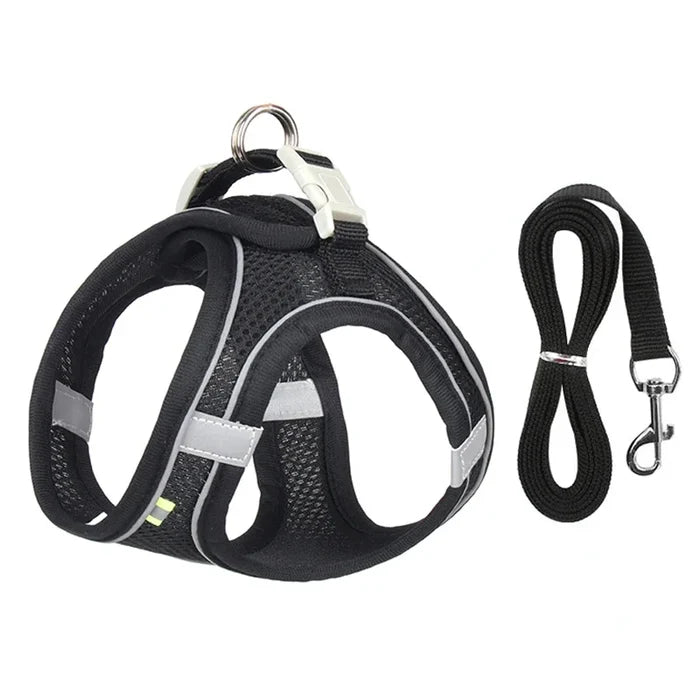 Black / XXS 0.5-1.5 Kg