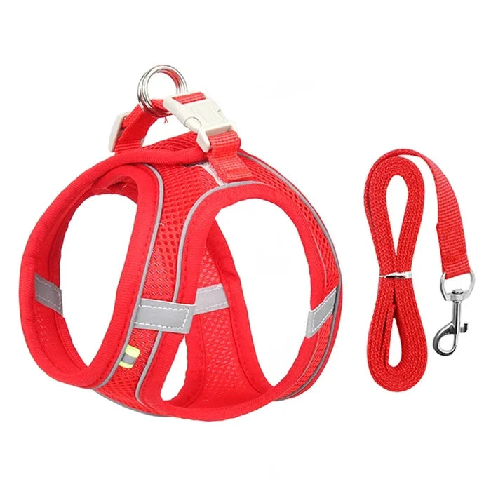 Red / XXS 0.5-1.5 Kg