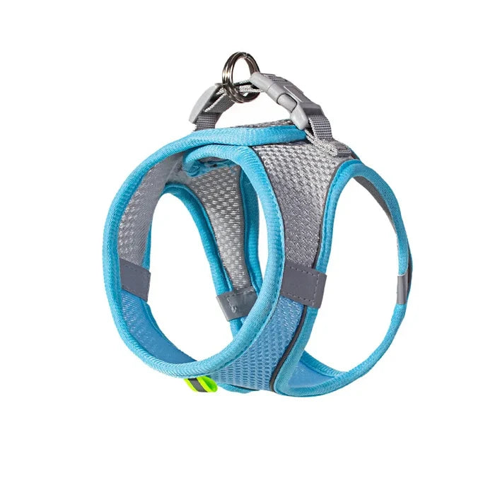 Blue / XXS 0.5-1.5 Kg