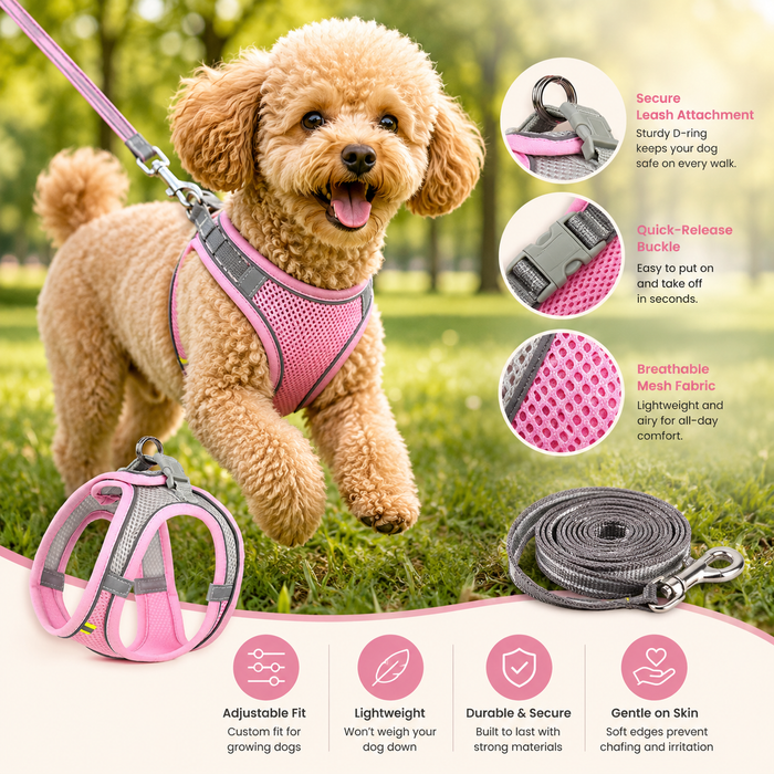 PuppyFlex Adjustable Harness & Leash Set