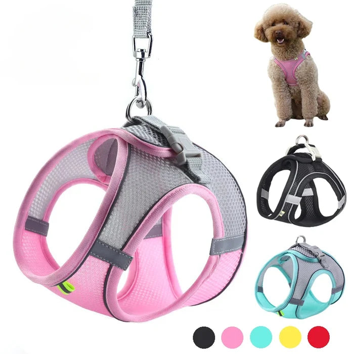 PuppyFlex Adjustable Harness & Leash Set