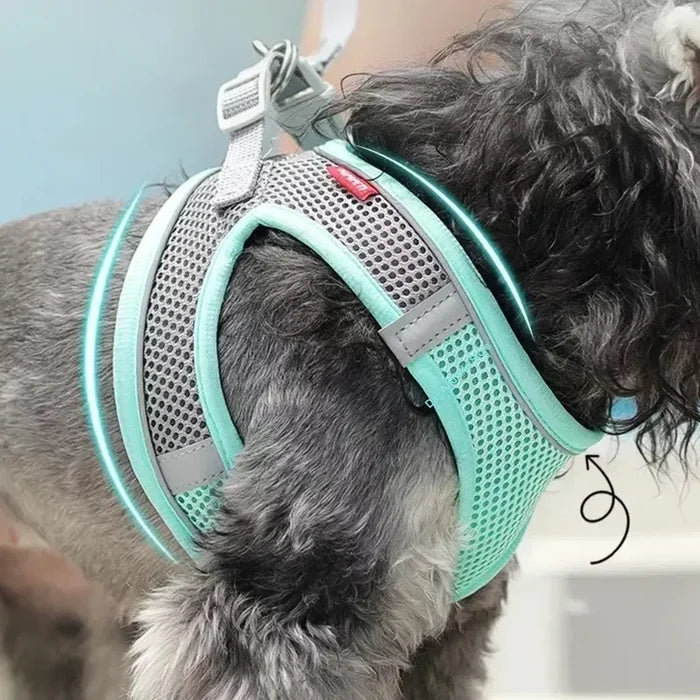 PuppyFlex Adjustable Harness & Leash Set