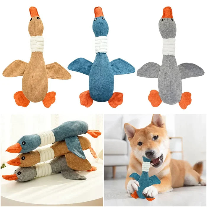 QuackBuddy Squeaky Dog Toy