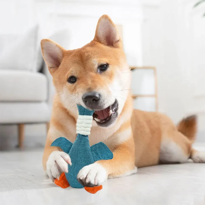 QuackBuddy Squeaky Dog Toy