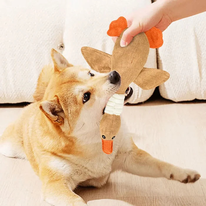 QuackBuddy Squeaky Dog Toy