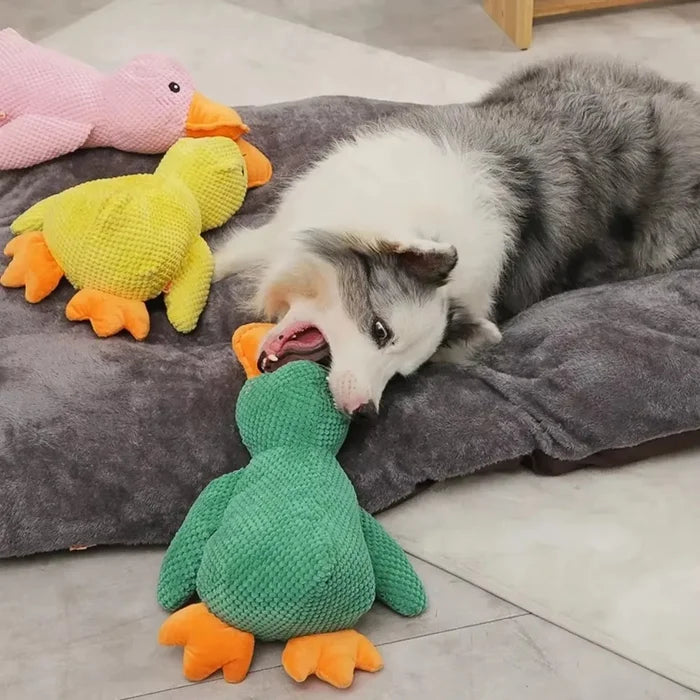 QuackPlay Plush Duck Pet Toy