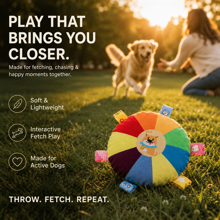 Rainbow Fetch Disc