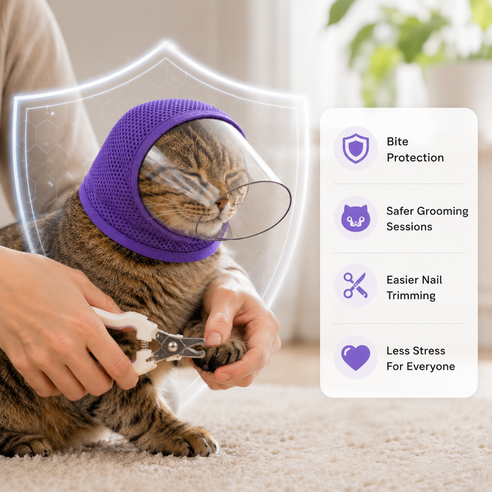 SafePaws