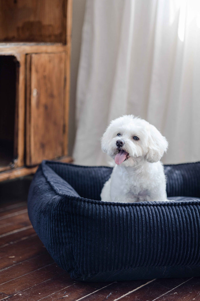 San Remo Chunky Cord Dog Bed with Removable Washable Cover - Pet Beds for dogs Snug and Cosy Pets