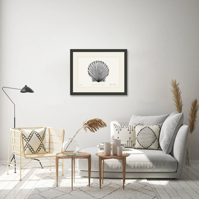 Scallop Limited Edition Print (B&W) Nick Mayer