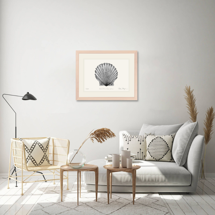 Scallop Limited Edition Print (B&W) Nick Mayer