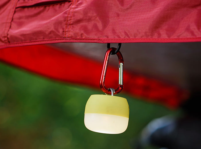 8007425